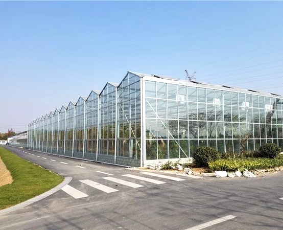 山西大同農業示范園