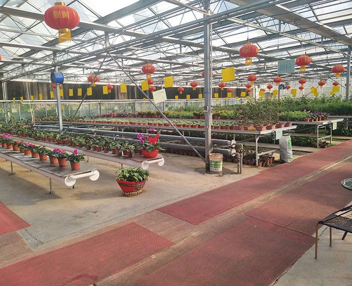 花卉溫室大棚