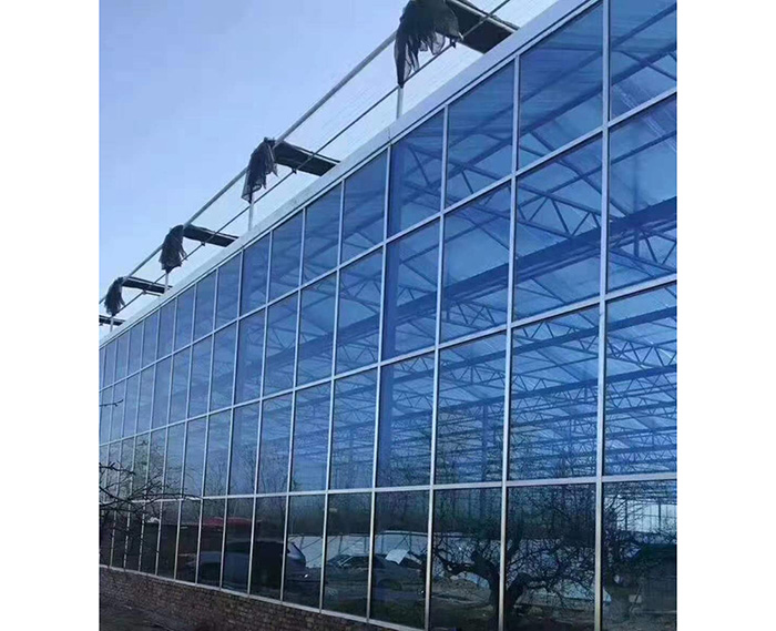 玻璃溫室大棚