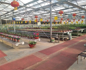 花卉溫室大棚